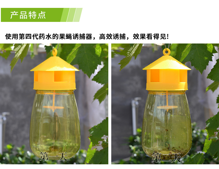 Kim bay fly bẫy potion kiểm soát dịch hại làm vườn nguồn cung cấp vườn cây ăn quả thực vật bắt côn trùng fly bẫy binh tuoi cay