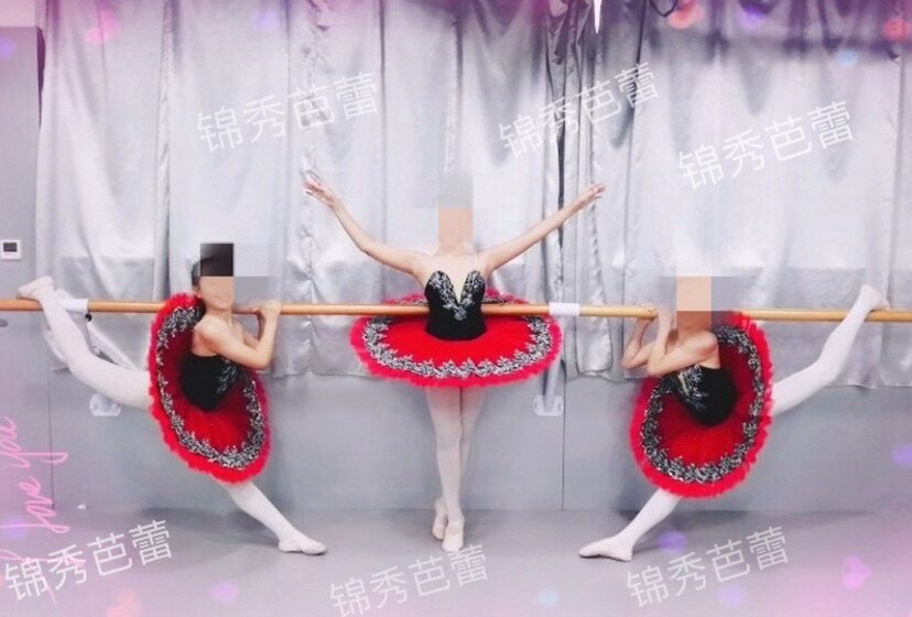 Professional Children's Ballet Dancing Out of Tutu skirt Girl Swan Lake Ballet Fluffy Skirt Small Swanky Dancer Costume