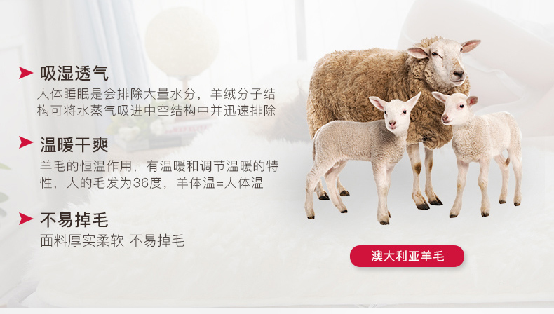 Nệm len Nam Cực dày đôi giường bọ cạp 1,8m Giường chiếu chống trượt đệm 1,5m - Nệm nệm cao su giá rẻ