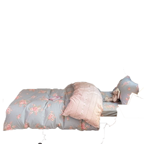 2024 new cotton printed set student single and double dormitory machine washable bed sheets three-piece set four-piece set