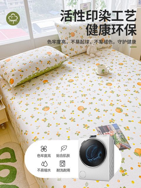 Winter cotton 100 bed sheets single piece pure cotton wash cotton bed sheet 1.5m single dormitory three-piece set 3