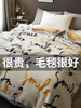 Raschel Blanket, Thickened and Fleece-Lined for Winter, Nap Blanket, Bed Sheet, Single Dormitory Student Coral Flannel Quilt