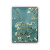 Совместимый умный ноутбук, защитное чтение, защитный чехол, T1, 1b