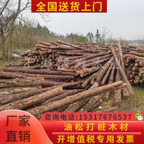 河道打桩专用木材 油松松木原木桩 松木落叶松 6米松木桩防汛木桩