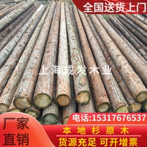 Engineering-specific river wood piles fir log piles with skin can be processed fir log piles piling bank protection wood
