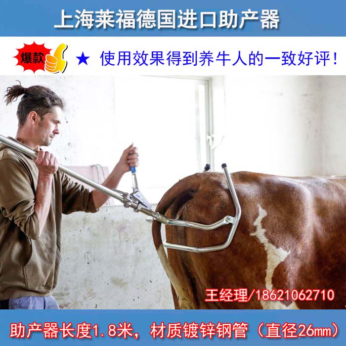 German import of the RHELI Pakistan REKHI cows use midwifery cows for the production of delivery instruments tools