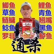 (Fishing Recommendation) Deng Gang can get fishing bait in one pack to catch crucian carp carp grass carp bream herring