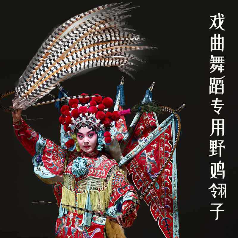 Sun Enlightenment of Fudan Peking Opera Opera Peking Opera Performance Natural Wild Chicken Feather-Pheasant Feathers with Feathers Ruffling Feathers
