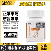 Aena it cough Asthma Hydrochloric Acid doxycycline Pets Cough Cold Dog Cat Tracheitis Stem pneumonic canine disease