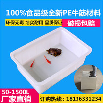 Beef tendon plastic water tank fish and turtle box transportation turnover breeding bubble tile water storage square box rectangular cooked rubber box