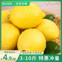 Sichuan Anyue yellow lemon fresh fruit 10 catties fragrant fresh thin first-class fresh lemon thin-skin lemon fruit 3 medium and large