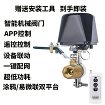 Smart valve wireless remote control electric valve switch wifiapp remote water valve ball valve 220 controller Mi home