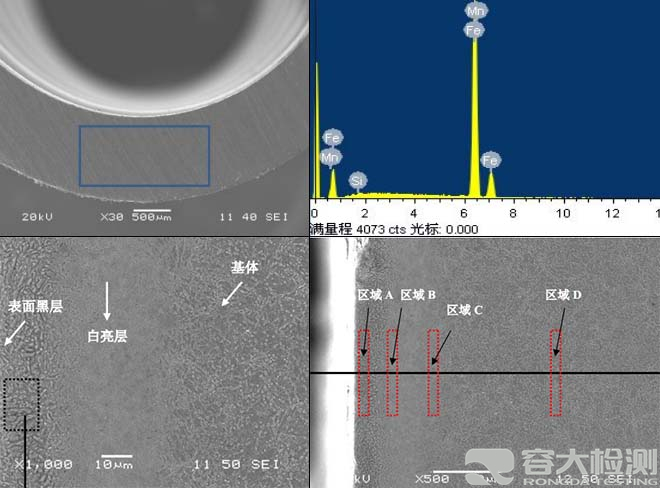 微观成分分析样本图