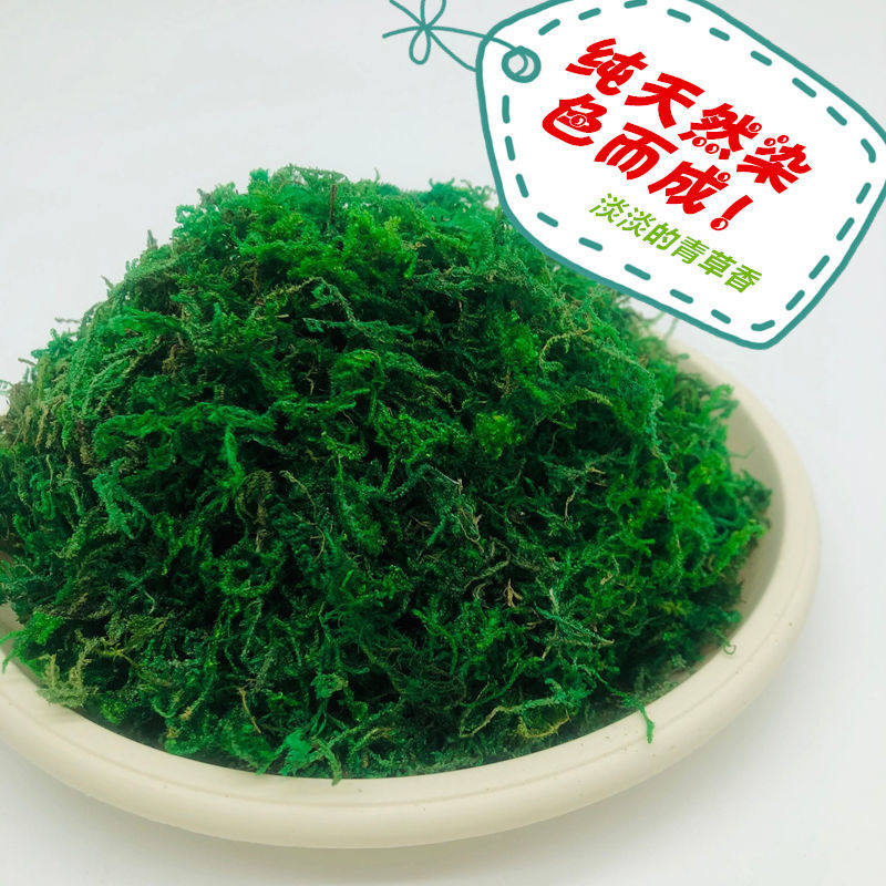 Simulation Moss Micro Landscape Diy Lawn Bonsai Green Planting Wall Paved wall Paved Turf for artificial plants Decorative Green Moss