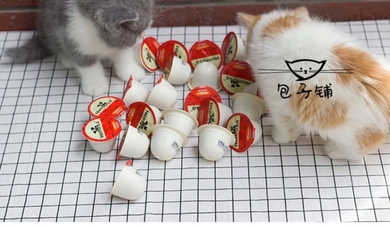 Cat Snack Phần thưởng Mèo Pudding Cát đen Cát Thạch Cá ngừ Cát Jelly 25g Cát ướt Thức ăn nhỏ Có thể - Đồ ăn nhẹ cho mèo