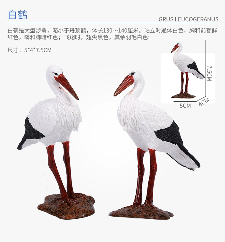 Mô phỏng động vật mô hình con công kền kền chim vẹt tuyết điêu khắc cú flamingo khoa học món quà - Đồ chơi gia đình