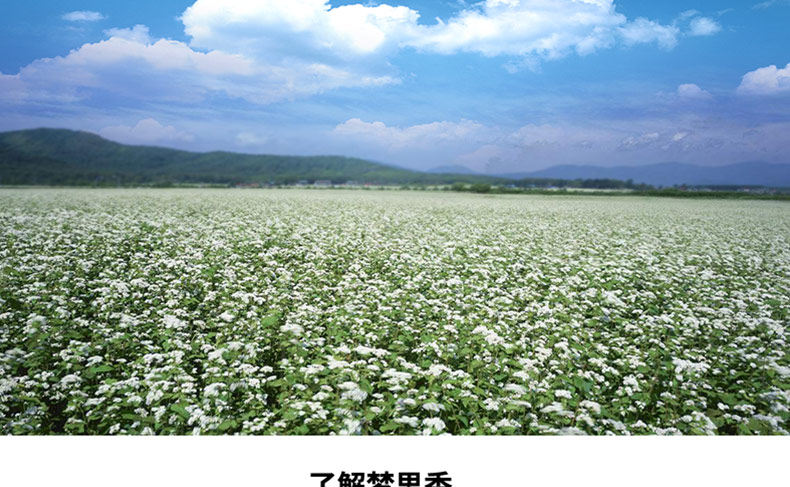 3 кукурузная куколка_14.jpg