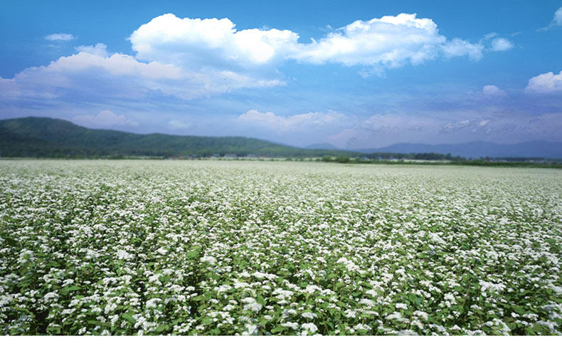 Ешьте детали page_15.jpg