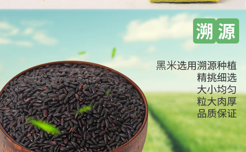 Black Rice_05.jpg