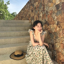 2021 nian new Platycodon grandiflorum French