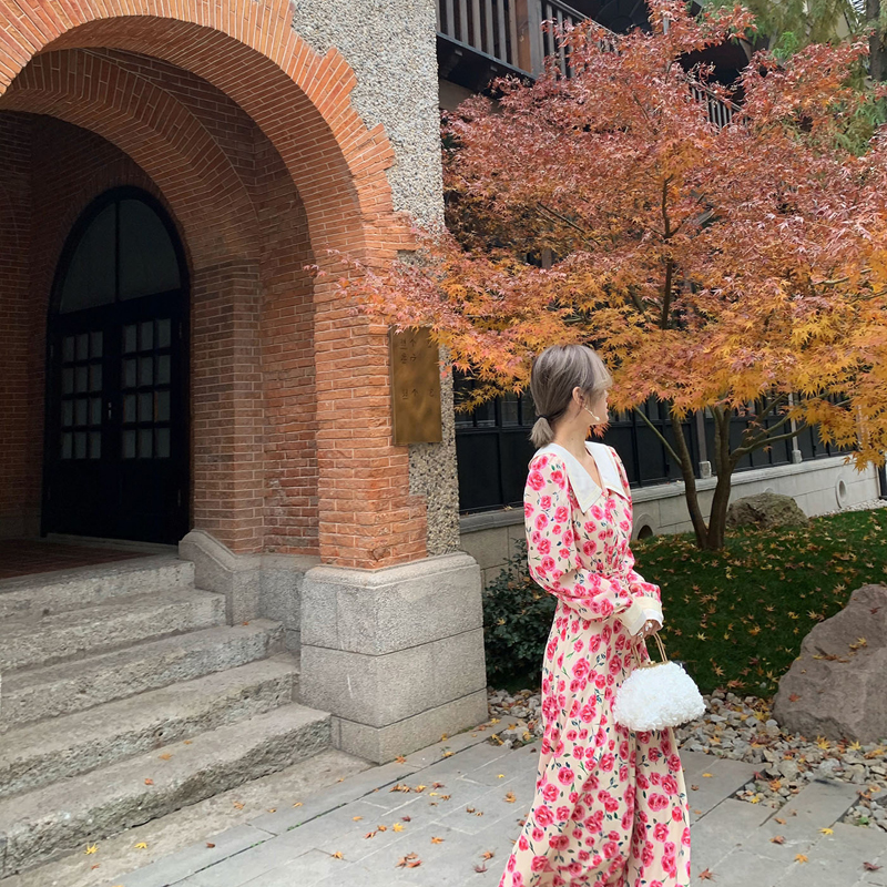 Autumn clothes 2020 New fragrons for women's spring autumn long sleeves Long sleeves Long sleeves Slim Fit with high temperament Skirt Fairy Skirt