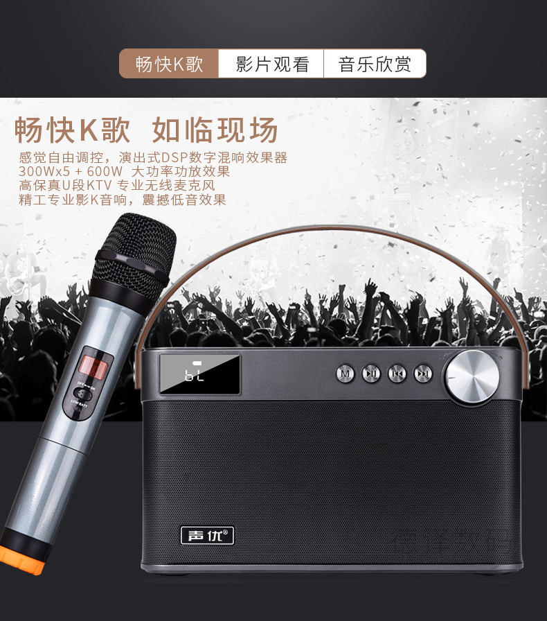 q5 karaoke microphone and speaker