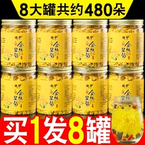 Chrysanthemum tea golden silk Emperor chrysanthemum yellow chrysanthemum tea with Wolfberry chrysanthemum honeysuckle tribute chrysanthemum tea