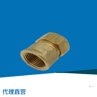 Guangdong Foshan Day Feng 1216 1620 Aluminum plastic pipe fuel gas pipe fitting internal wire straight to the inner tooth direct