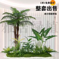 Artificial Green Plant Combination Landscaping Tropical Fake Plant Landscape Interior Decoration Shopping Mall Window Decoration Coconut Tree Camping Style