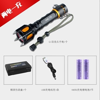 Два -электрическая и одна зарядка [зарядка кабеля USB]