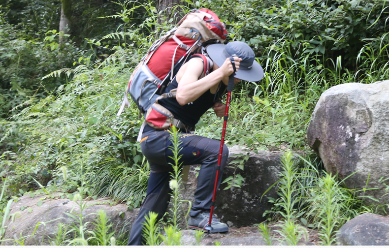 Nam sói trekking cực tuyết ngoài trời mía bốn phần leo núi kính thiên văn gậy gậy ngoài trời cung cấp ánh sáng trekking cực - Gậy / gậy 	cây chống gậy cho người già	