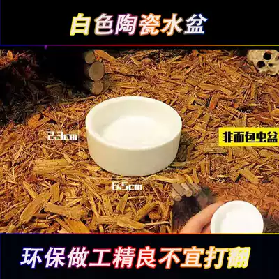 Reptile Spider scorpion lizard guard water basin food basin exquisite white ceramic basin barley bread insect crawler crawling pet