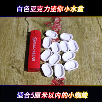 Climbing pet mini basin small water basin Spider scorpion centipede larval pet feeding water living pet ceramic small water basin