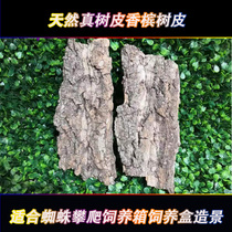 Natural true bark champagne bark bark spider climbing bark hole feeding box landscape bark