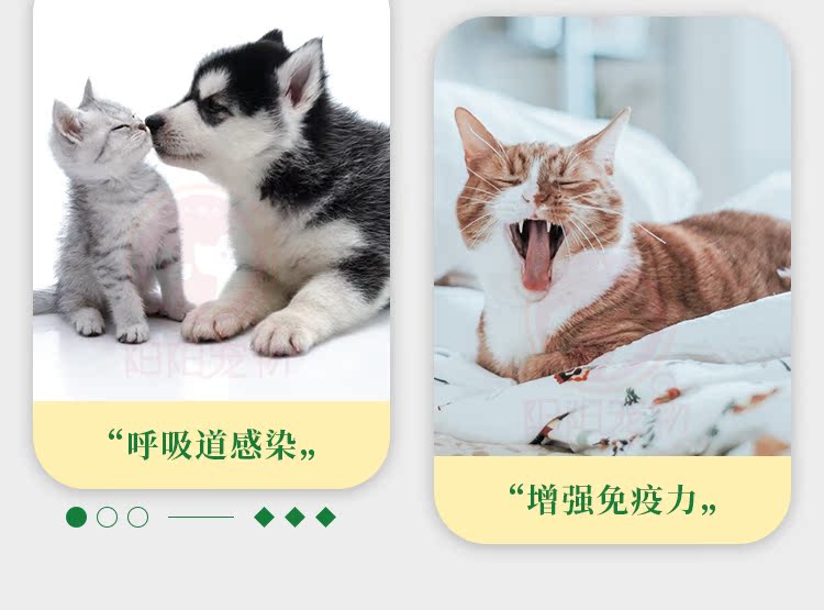 Lantes LandCE có thể loại trừ chó và mèo ho lạnh viêm phế quản nhiễm trùng đường hô hấp cúm vật nuôi 60ml - Cat / Dog Health bổ sung sữa cho mèo con 3 tuần tuổi