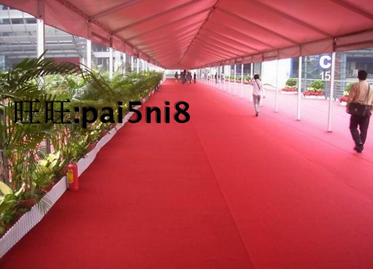 Lễ kỷ niệm ngày cưới kinh doanh triển lãm thảm dày màu đỏ tro tím xanh xanh cà phê trắng thảm trải sàn cho bé
