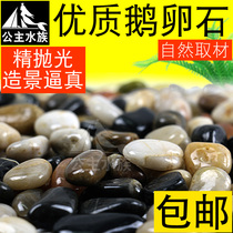  Fish tank goose egg bottom sand multicolored drizzle white stone polished natural aquarium landscaping stone