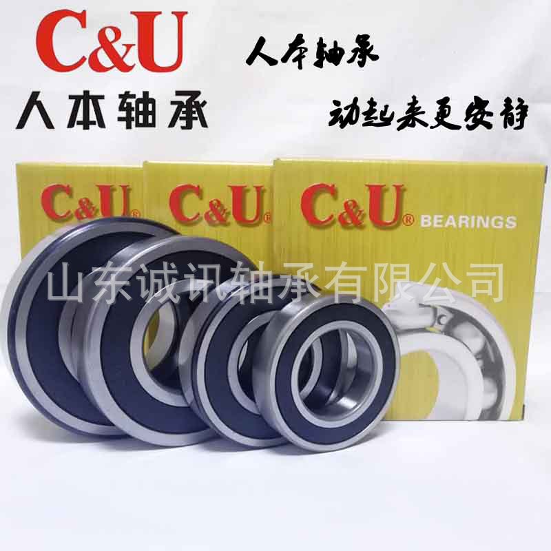 Human CU bearing 6008 6009 6010 6011 6012 6013 6014 6015 2RZ Z2