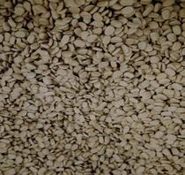 Sole anti-frost agent 505 pre-additive for rubber products anti-blowout cream wax spray oil spray light color anti-spit cream