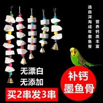 Cuttlefish bone skewers Xuanfeng tiger skin peony parrot calcium molar supplies Utensils Bird food Squirrel hanging skewers gnawing toys
