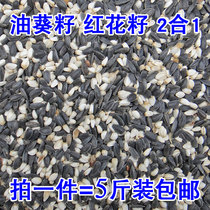 Oil sunflower Safflower parrot bird food Safflower seeds Black melon seeds Xuanfeng Little sun Monk mixed bird food five kg pigeon food