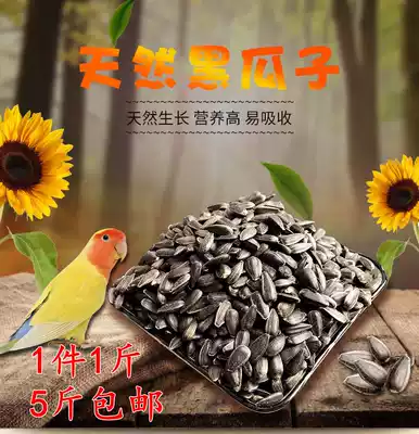 Black melon seed Black Pearl small melon seed sunflower seed sunflower seed Parrot bird eating hamster bird food pigeon grain five catties