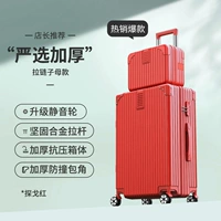 Праздничный красный [Строго отобранные модели «Теща», устойчивые к столкновениям и давлению] [Модели «Теща» удобнее сочетать]