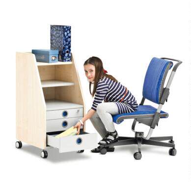 Germany moll study desk file cabinet PRO PROFI CUBIC Easy storage and tax package