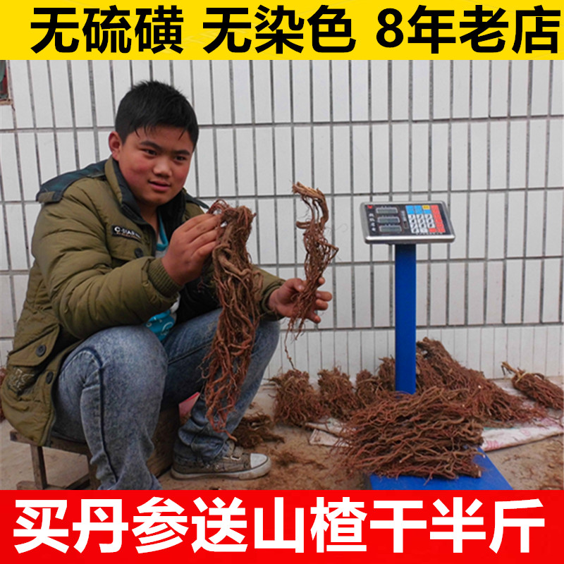 Yimeng mountainous area purple flower salvia miltiorrhiza whole tree danshen original whole medicinal state purple flower salvia miltiorrhiza tea root 500 grams