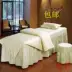 Miễn phí vận chuyển làm đẹp trải giường phần dải cơ thể massage vẻ đẹp giường có thể được tùy chỉnh các thông số kỹ thuật khác nhau bao gồm bốn bộ - Trang bị tấm