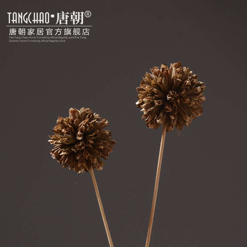 �Ƴ��Ҿ���Ʒ���滨��װ��