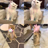 Кошачья игрушка сказочная сказка кошачья кошка жирная кошка кошачья кошачья кошачья колокольня битва кошачья набор кот кот zi he hi бесплатная доставка кошачьи продукты