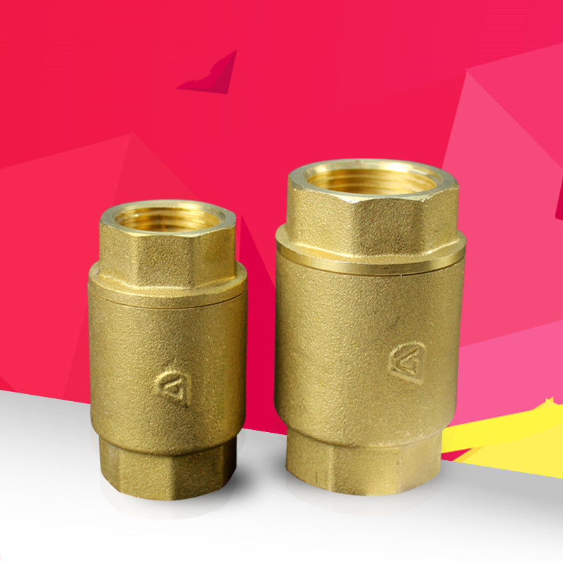 Dunan brand brass vertical check valve Check valve Anti-backflow valve Check valve Spring check valve 4 points 6 points
