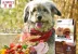 Thức ăn cho chó Aiwei Chó trưởng thành Aiwei Thức ăn chính Golden Retriever Teddy Beef Dog Food 10kg - Chó Staples